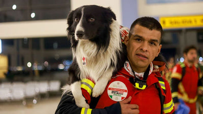 Il Messico invia squadra di cani da ricerca e soccorso in Turchia dopo il terremoto